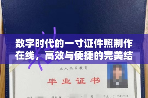 全国数字时代的一寸证件照制作在线，高效与便捷的完美结合