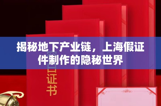 全国揭秘地下产业链，上海假证件制作的隐秘世界