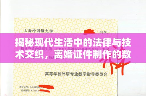 全国揭秘现代生活中的法律与技术交织，离婚证件制作的数字化革命