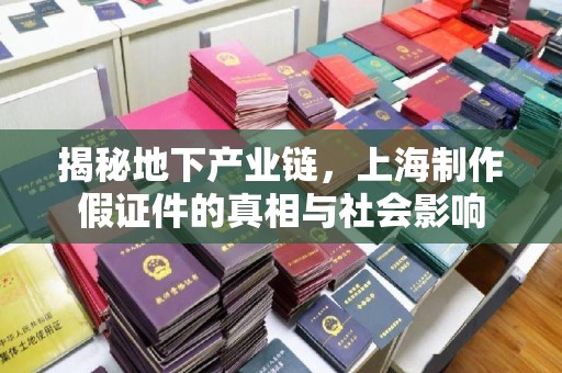 全国揭秘地下产业链，上海制作假证件的真相与社会影响