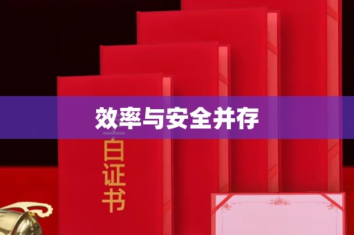 全国效率与安全并存