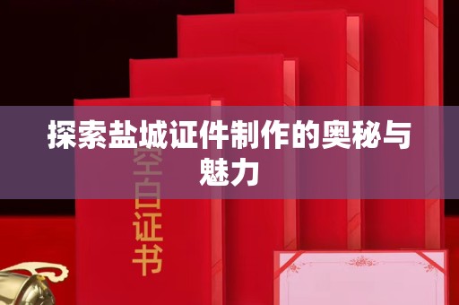 全国探索盐城证件制作的奥秘与魅力